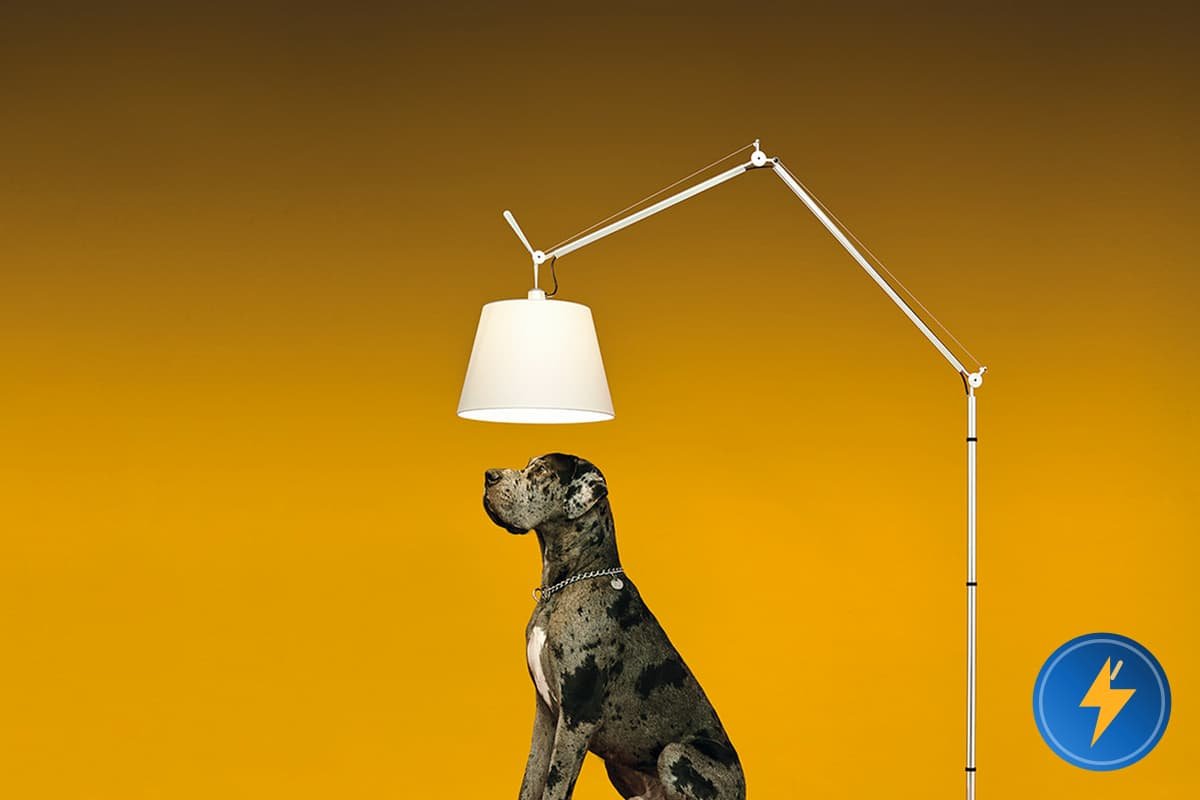 Artemide